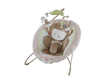 Fisher-Price My Little SnugaMonkey Special Edition Deluxe Bouncer Online